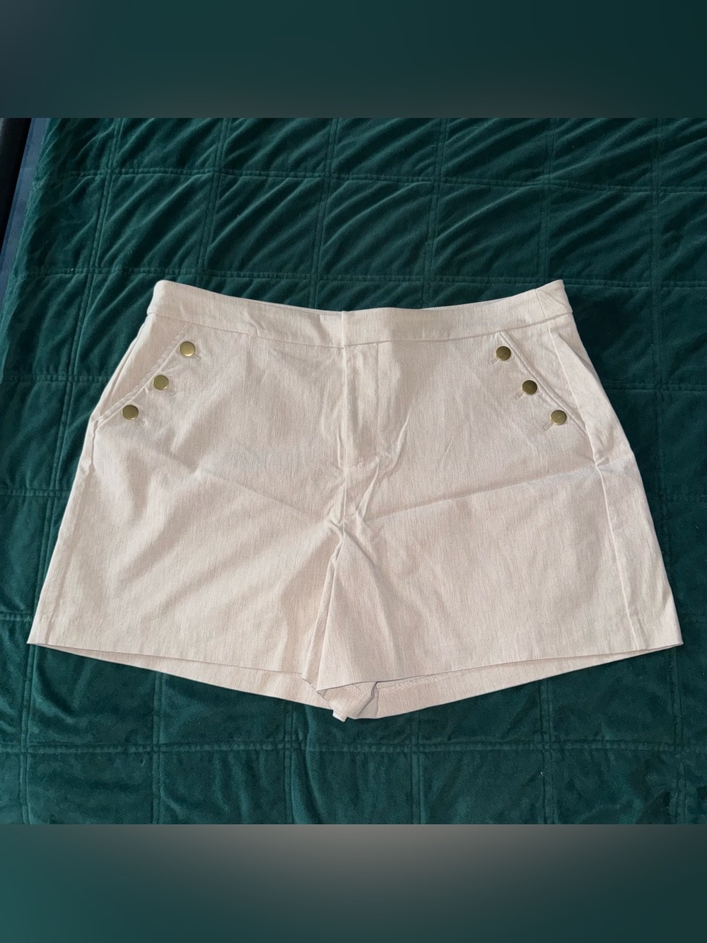 Maurices Dressy shorts XL